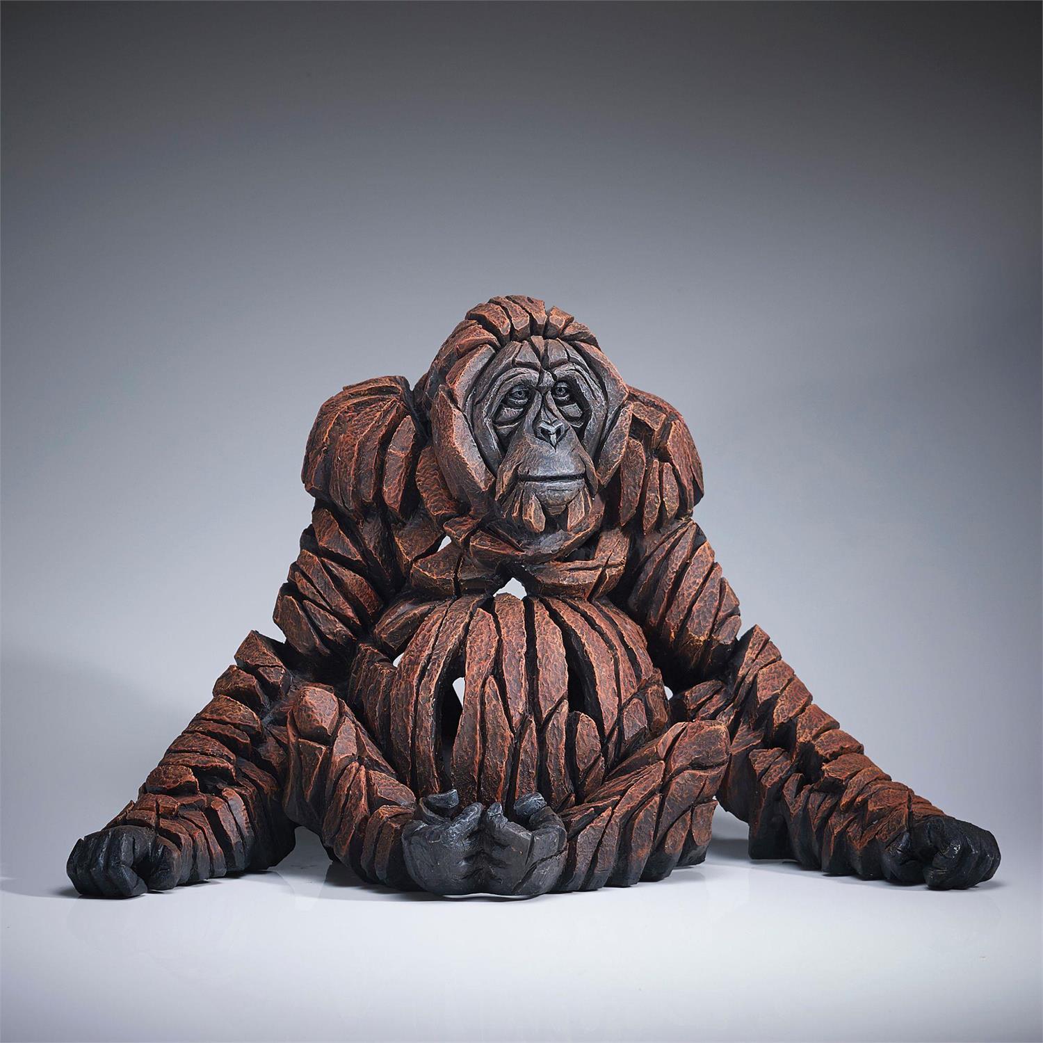 Adult Orangutan