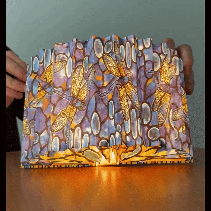 Louis C. Tiffany Dragonfly Light Book