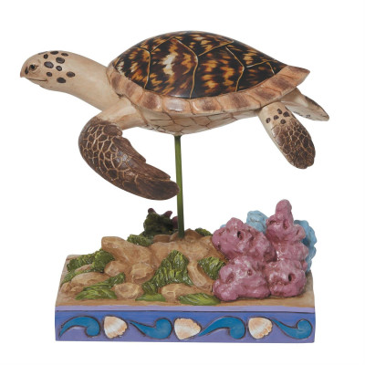 Hawksbill Sea Turtle Hawksbill Sea Turtle