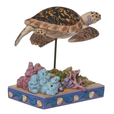 Hawksbill Sea Turtle Hawksbill Sea Turtle