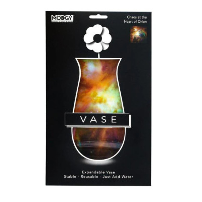 Chaos at the Heart of Orion (NASA HUBBLE) Vase Chaos at the Heart of Orion (NASA HUBBLE) Vase