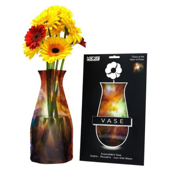 Chaos at the Heart of Orion (NASA HUBBLE) Vase