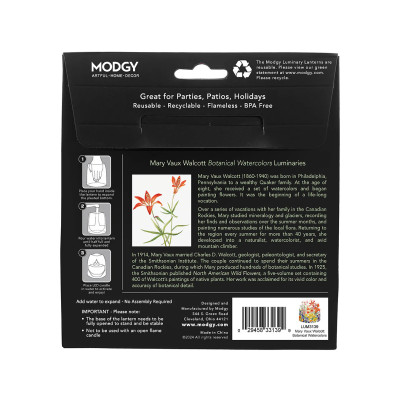Mary Walcott Botanical Watercolors Luminary Mary Walcott Botanical Watercolors Luminary