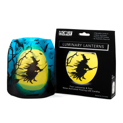 Witchy Woman Luminaries Witchy Woman Luminaries