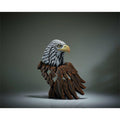 Bald Eagle Bust