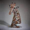 Giraffe Bust