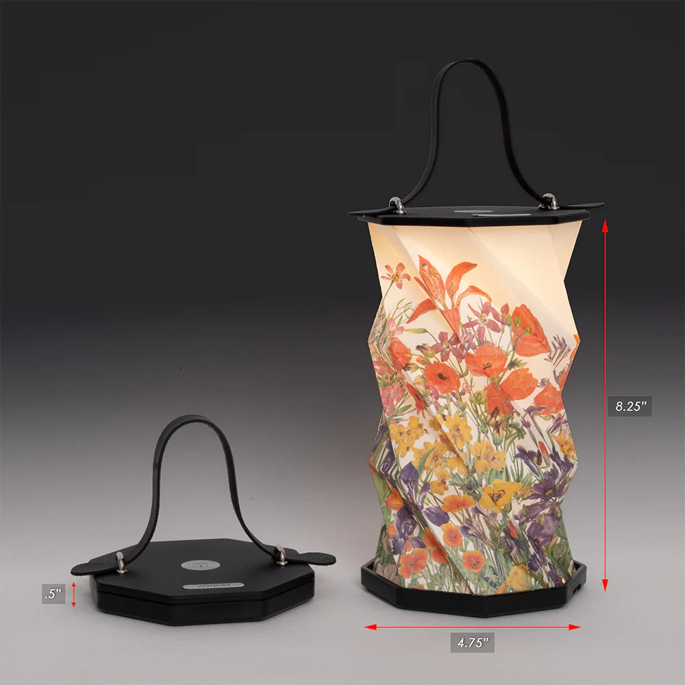 Mary Walcott Vaux Botanical Watercolors Origami Lantern